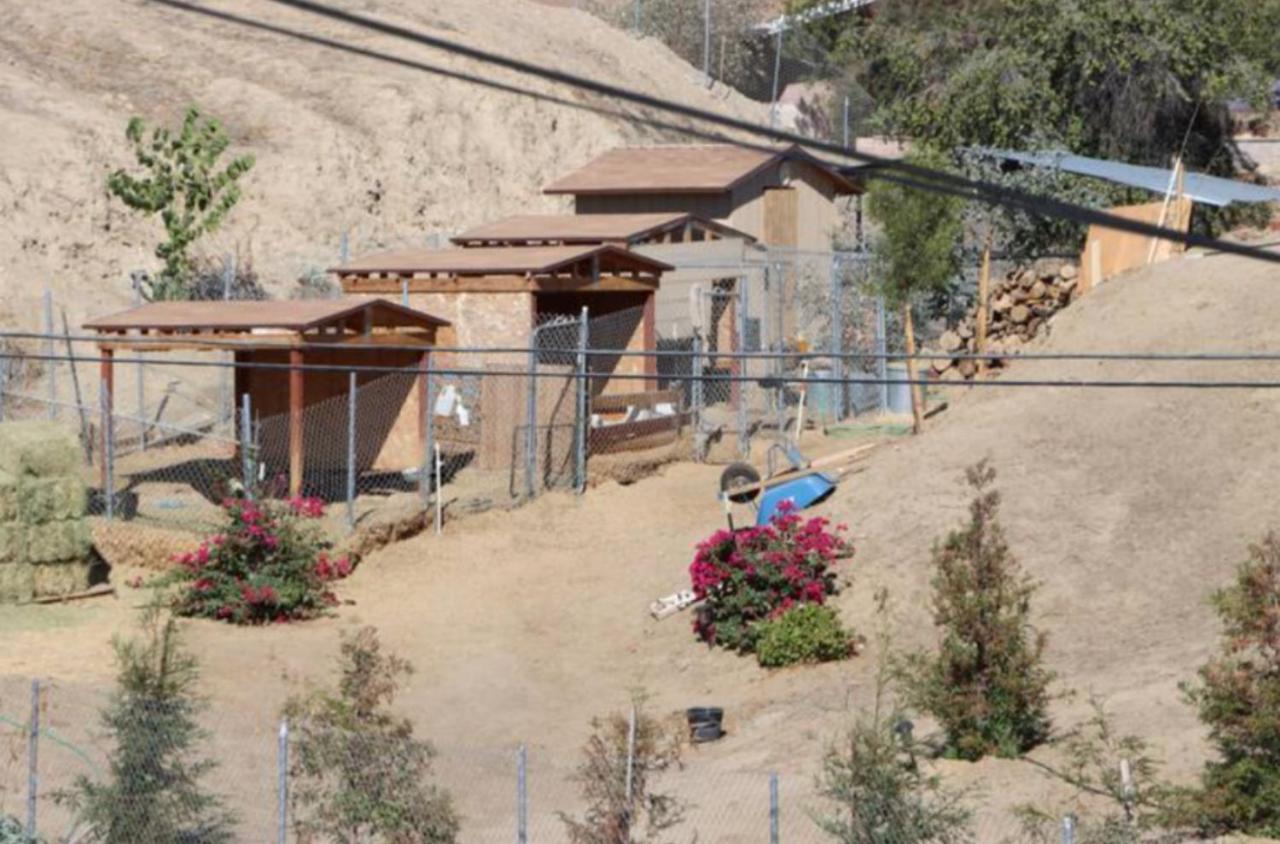 המט Mountain View Studio מראה חיצוני תמונה